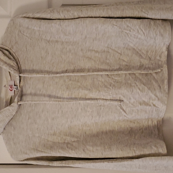 Gray Cropped Sweatshirt - Picture 4 of 10